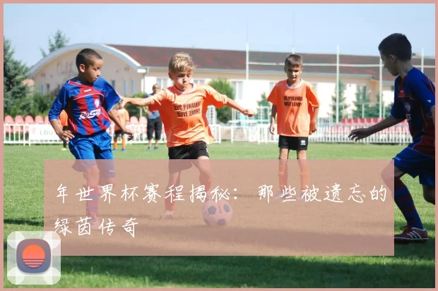 年世界杯赛程揭秘:那些被遗忘的绿茵传奇