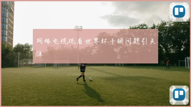 网络电视观看世界杯卡顿问题引关注