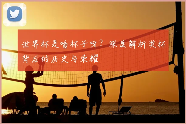 世界杯是啥杯子呀？深度解析奖杯背后的历史与荣耀