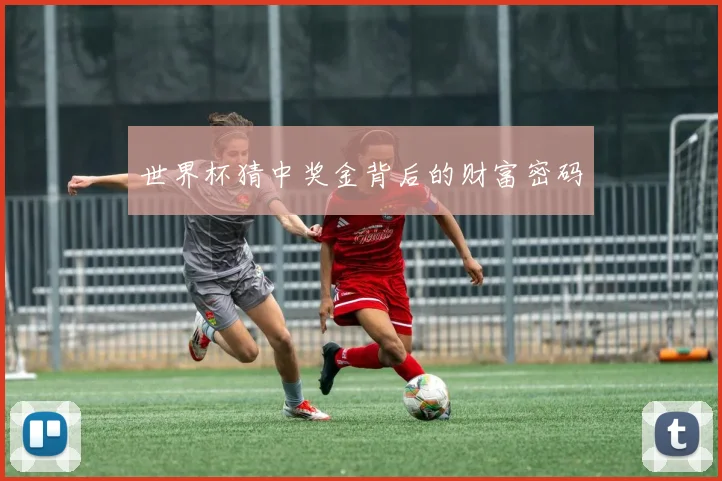 世界杯猜中奖金背后的财富密码