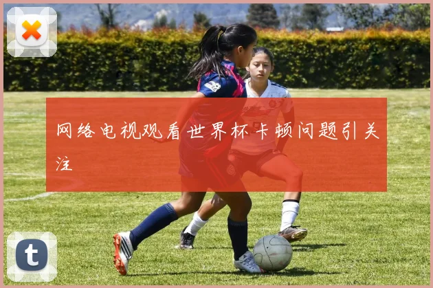 网络电视观看世界杯卡顿问题引关注