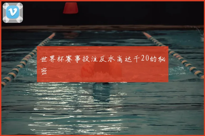 世界杯赛事投注反水高达千20的秘密