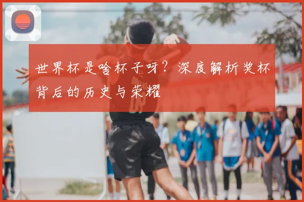 世界杯是啥杯子呀?深度解析奖杯背后的历史与荣耀